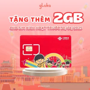 tang them 2gb sim china unicom