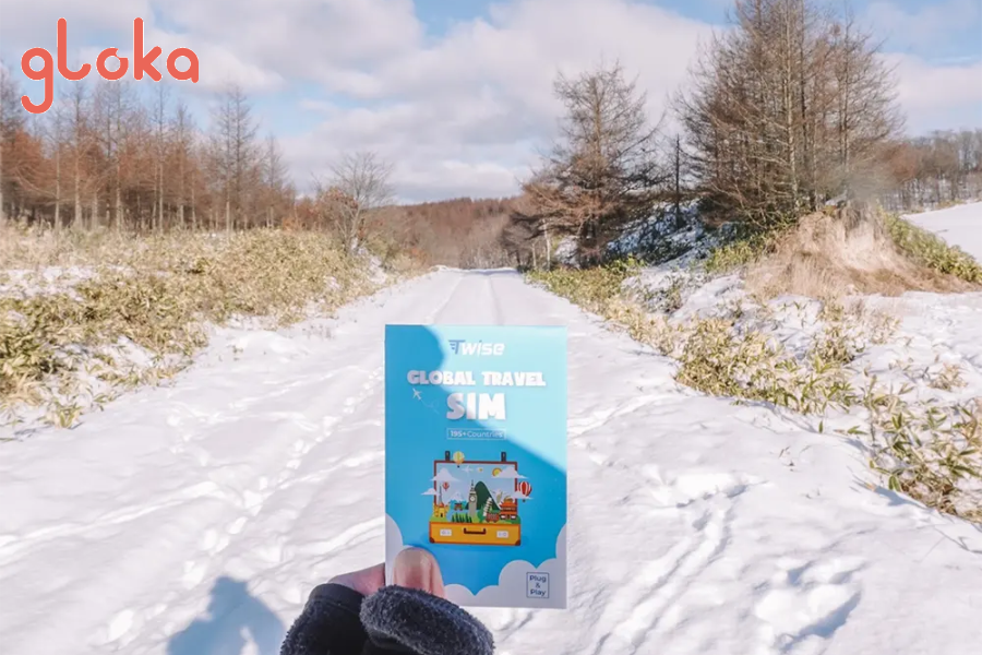 Hướng dẫn mua sim Nhật online tại Gloka: Đơn giản và nhanh chóng